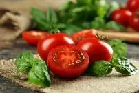 گوجه فرنگی گران می‌شود؟