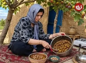 ببینید| غذای روستایی در ایران؛ مراحل تهیه مربا با انجیرهای تازه توسط مادربزرگ روستایی