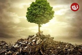 زمین‌کُشی؛ چهره خاموش جنگ