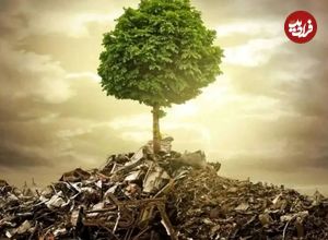 زمین‌کُشی؛ چهره خاموش جنگ