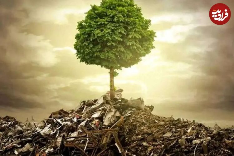 زمین‌کُشی؛ چهره خاموش جنگ