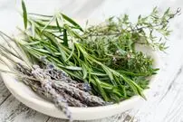 تأثیر رزماری بر حافظه پشتوانه علمی دارد؟