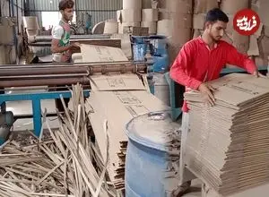 ببینید| فرآیند تولید انبوه کارتن در کارگاهی در پاکستان