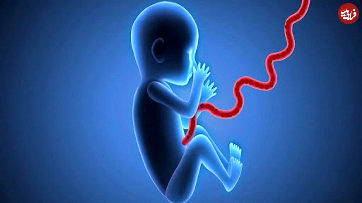 ۷ حقیقت شگفت‌آور درباره جنین انسان که نمی‌دانید