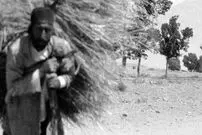 عکس| سفر زمان؛ «مردی با بار علف» در جاده‌ای نزدیک تهران؛ 98 سال قبل