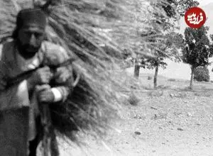 عکس| سفر زمان؛ «مردی با بار علف» در جاده‌ای نزدیک تهران؛ 98 سال قبل
