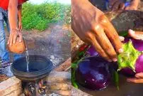 (ویدئو) غذاهای روستایی: پخت یک غذای متفاوت با بادمجان کبابی و برنج توسط کشاورز هندی