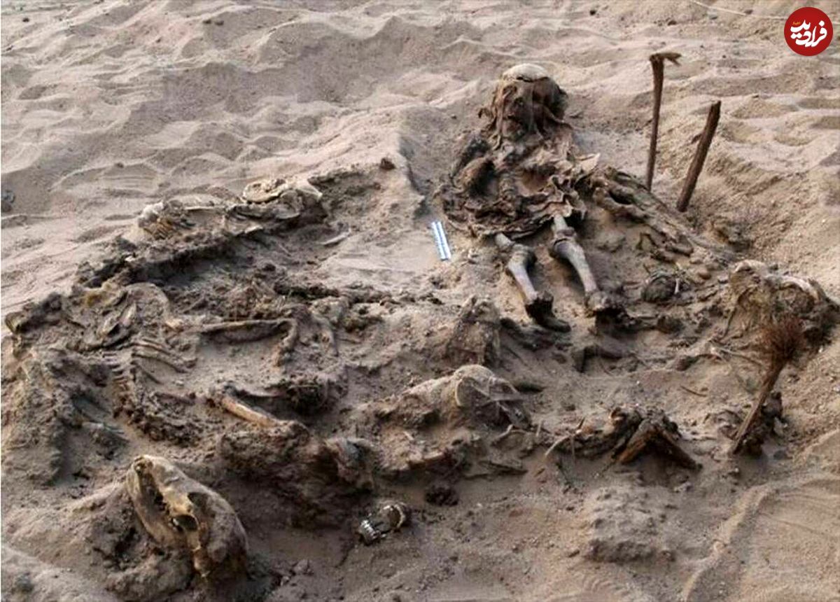 کشف مقبرۀ ۲ هزار سالۀ یک کودک و ۱۴۲ سگ!