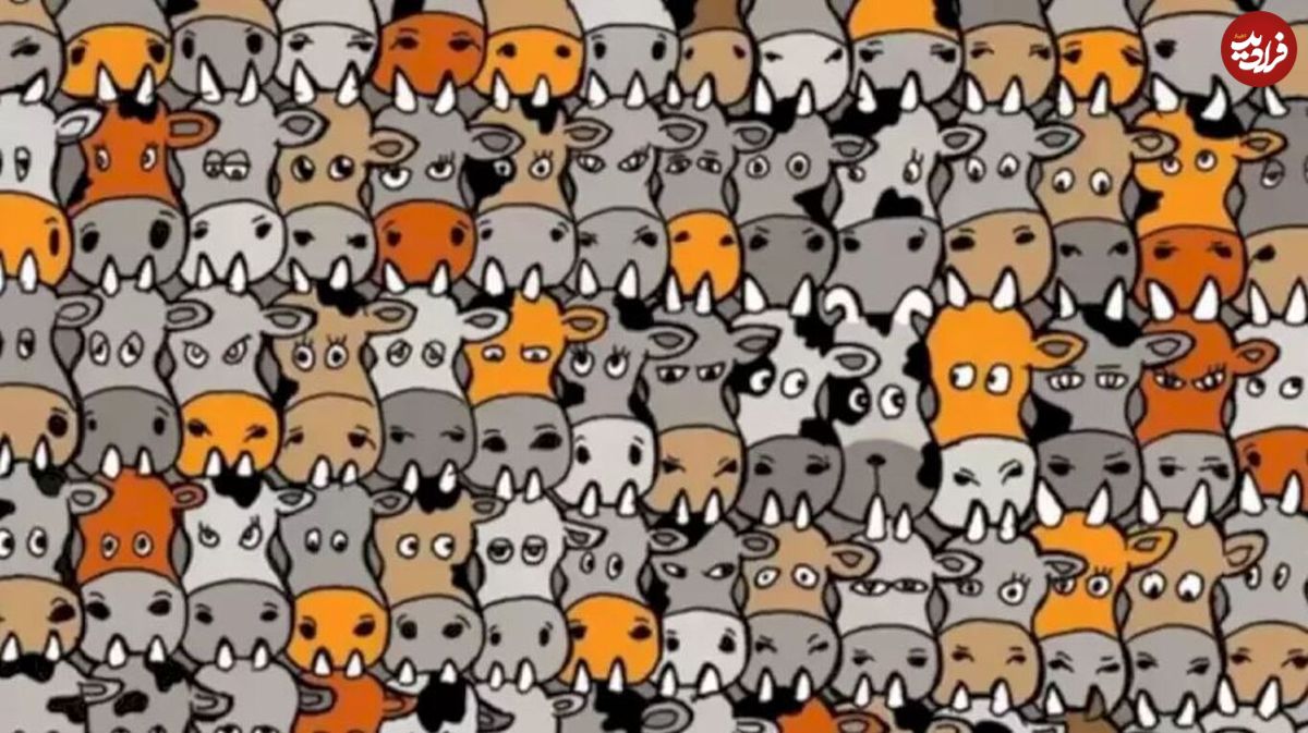 تست چالش برانگیز هوش؛ آیا می‌توانید سگ پنهان در میان گاو‌ها را در ۴ ثانیه پیدا کنید؟