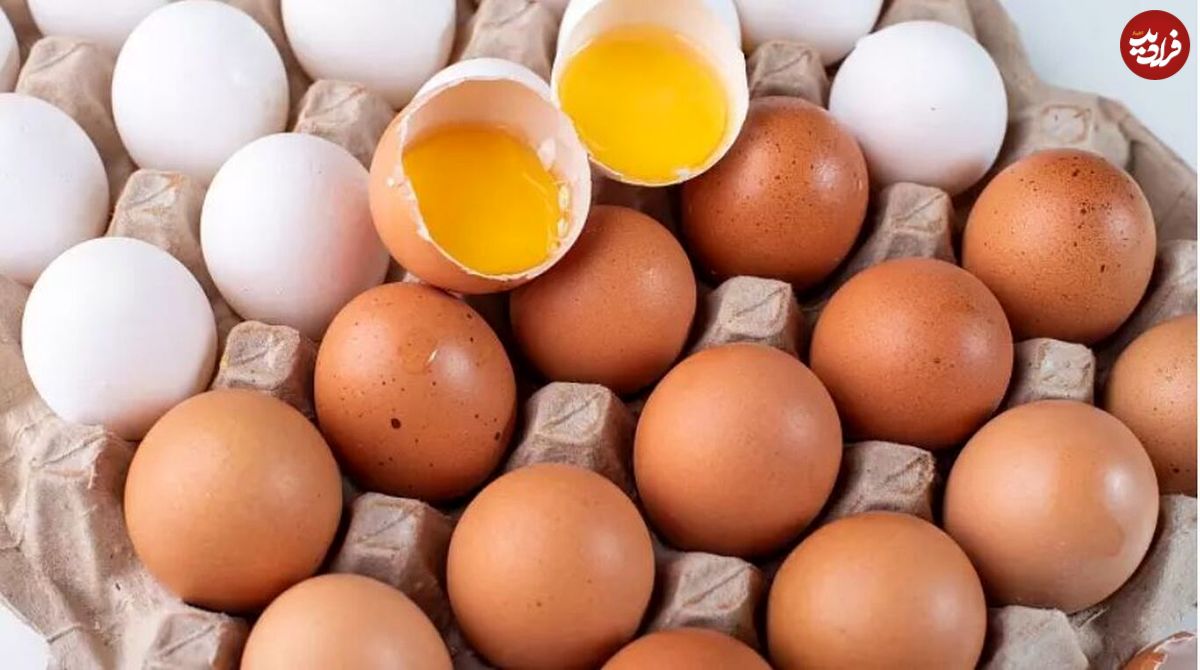 تولید آنتی‌بادی کرونا از تخم‌مرغ