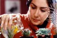 بهترین فیلم‌های «هانیه توسلی» در اولین سال‌های بازیگری‌اش