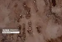 (تصاویر) کشف قربانگاه ترسناکی از کودکان بدون قلب!
