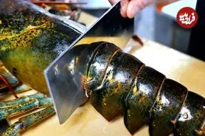 ببینید| غذای خیابانی در آمریکا؛ پخت غذاهای لوکس با لابستر سیاه در نیویورک