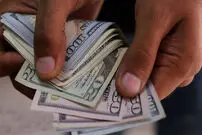 قیمت دلار روی مدار ثبات