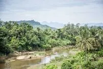 تصاویر/ تجارت خطرناک ولی خوش‌بو