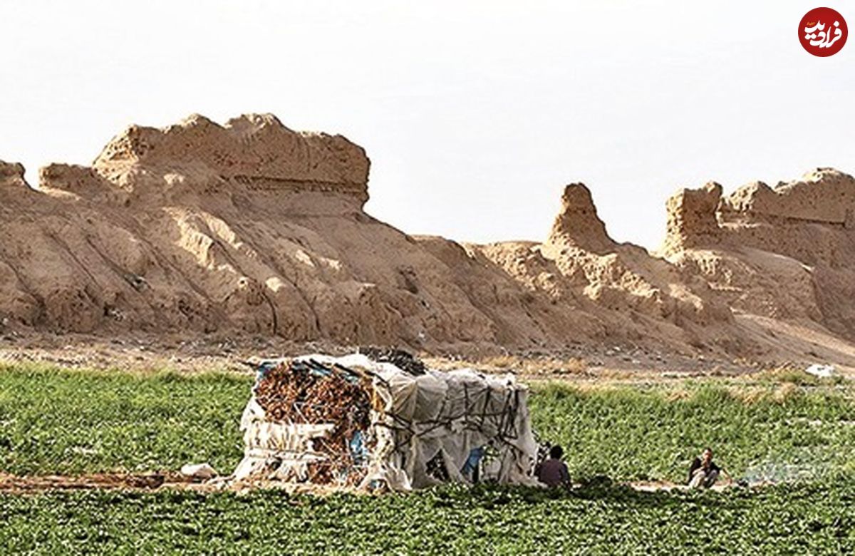 بزرگترین قلعه خشتی ساسانی در قرق کشاورزان