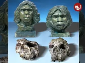 کشف جمجمۀ 1 میلیون و 800 هزار سالۀ «انسان راست قامت» در چین