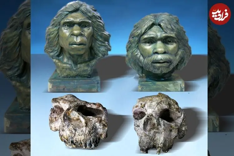 کشف جمجمۀ 1 میلیون و 800 هزار سالۀ «انسان راست قامت» در چین