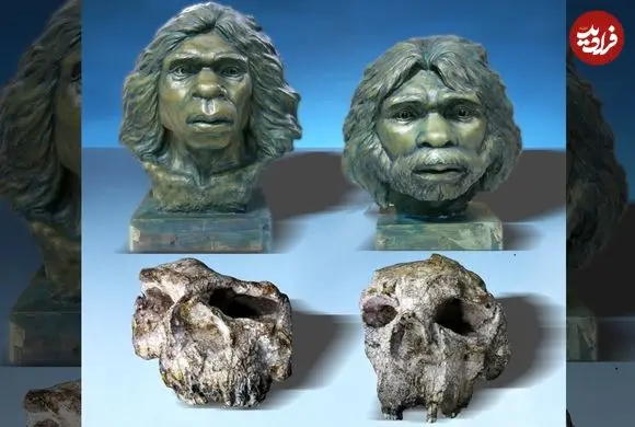 کشف جمجمۀ 1 میلیون و 800 هزار سالۀ «انسان راست قامت» در چین