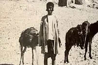 عکس| سفر به ایران قدیم؛ یک مرد و قاطرهایش در نزدیکی «دروازه قرآن شیراز» در دوران قاجار