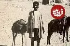 عکس| سفر به ایران قدیم؛ یک مرد و قاطرهایش در نزدیکی «دروازه قرآن شیراز» در دوران قاجار