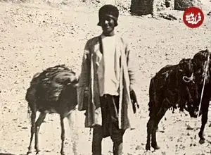 عکس| سفر به ایران قدیم؛ یک مرد و قاطرهایش در نزدیکی «دروازه قرآن شیراز» در دوران قاجار