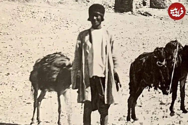 عکس| سفر به ایران قدیم؛ یک مرد و قاطرهایش در نزدیکی «دروازه قرآن شیراز» در دوران قاجار