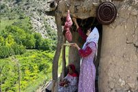 ببینید؛ غذای روستایی در ایران؛ پخت غذای محلی با جگر بره و سیب زمین در طبیعت