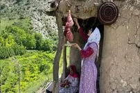 ببینید؛ غذای روستایی در ایران؛ پخت غذای محلی با جگر بره و سیب زمین در طبیعت