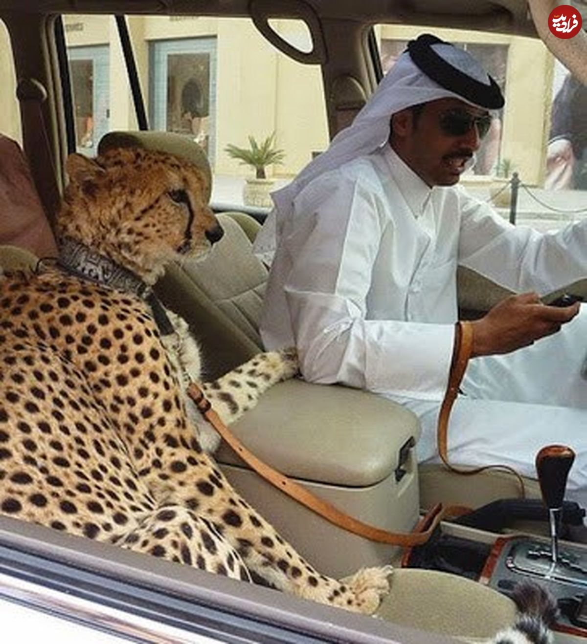 تصاویر/ بریز و بپاش‌های ثروتمندان در دبی