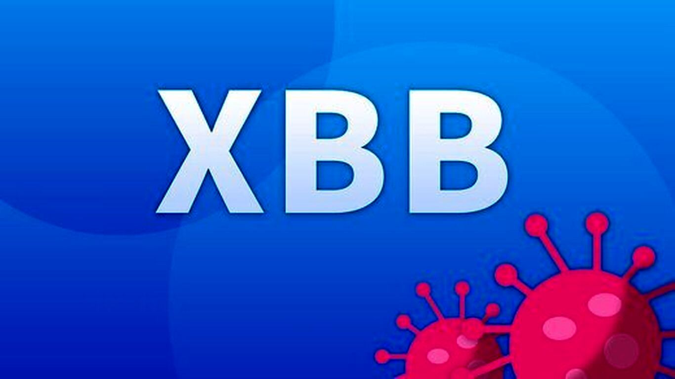 از واریانت جدید کرونا XBB.۱.۵ چه می‌دانیم؟