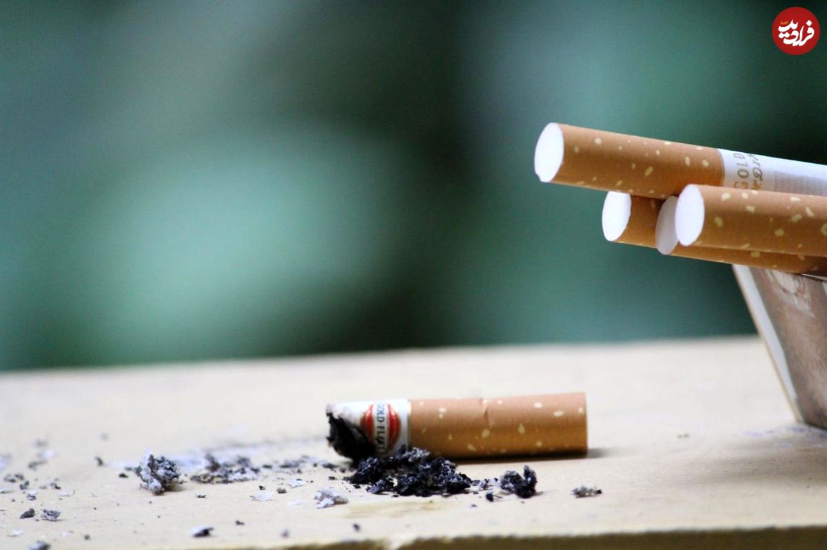 ته سیگار با محیط زیست چه می‌کند؟