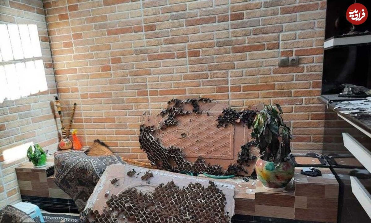 انفجار منزل مسکونی خواننده یاسوجی؛ آخرین وضعیت درمانی سجاد رزمجو
