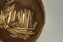 عکس| مرد خوش‌شانس در حیاط خانه‌اش گنج پیدا کرد