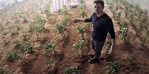 برداشت 10 محصول کشاورزی در شرایط مریخ