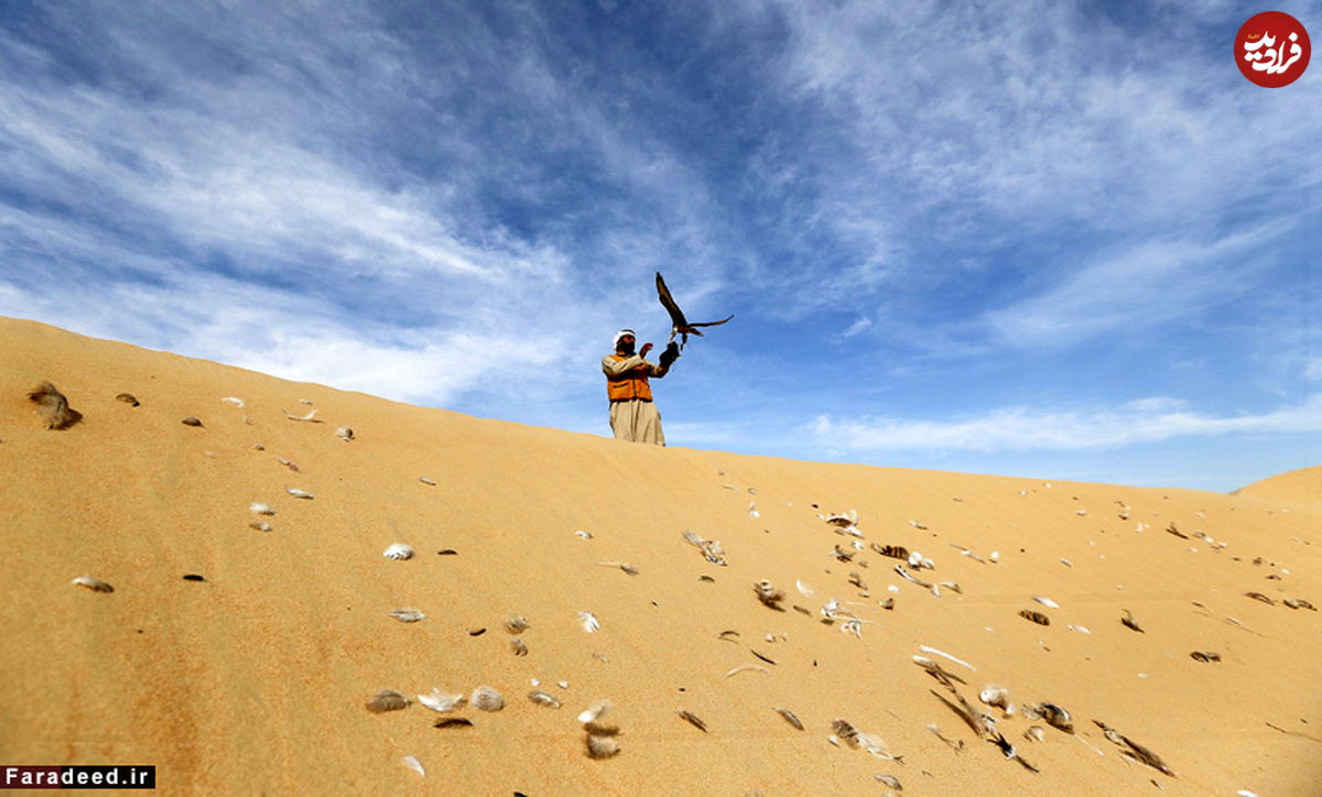 تصاویر/ تفریح لوکس در صحرای امارات