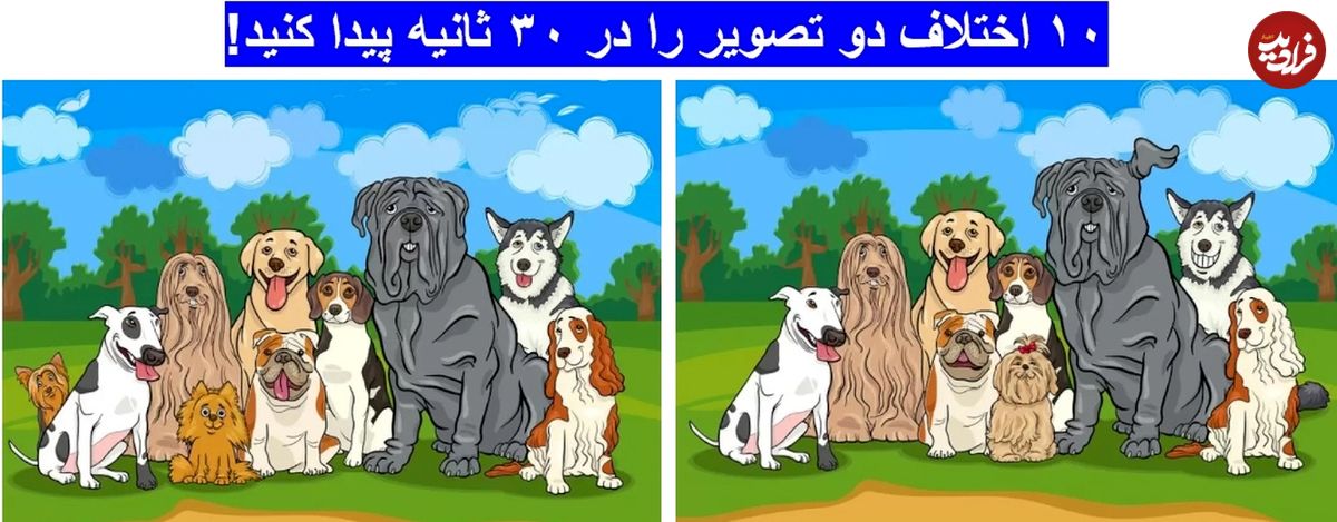 معمای تفاوت تصویری: آیا میتوانید ۱۰ اختلاف دو تصویر را در ۳۰ ثانیه تشخیص دهید؟