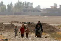 تصاویر/ فرار از دست داعش با ویلچر