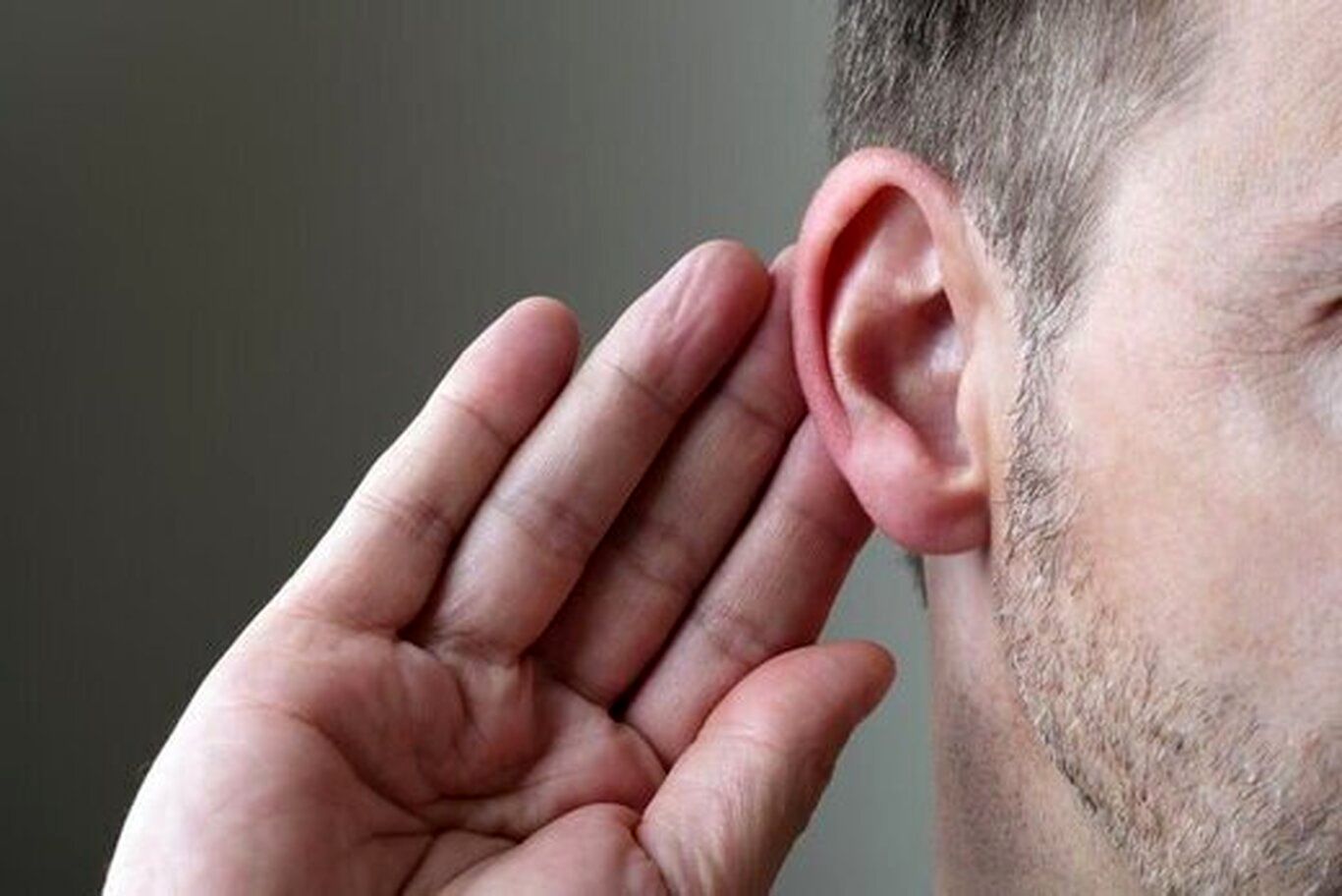 (عکس) الگوی حیرت‌انگیز سلول‌های گوش داخلی که شنیدن را ممکن می‌کند