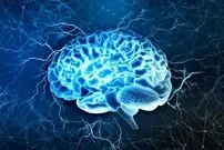 کدام ضربه‌ها به سر می‌تواند آسیب جدی به مغز بزند؟