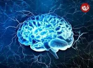 کدام ضربه‌ها به سر می‌تواند آسیب جدی به مغز بزند؟