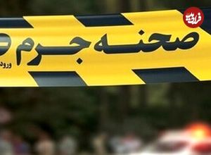 قتل کارمند دانشگاه تهران به دست همسرش