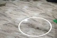 با این تصاویر گیج کننده، تیزبینی‌تان را به چالش بکشید