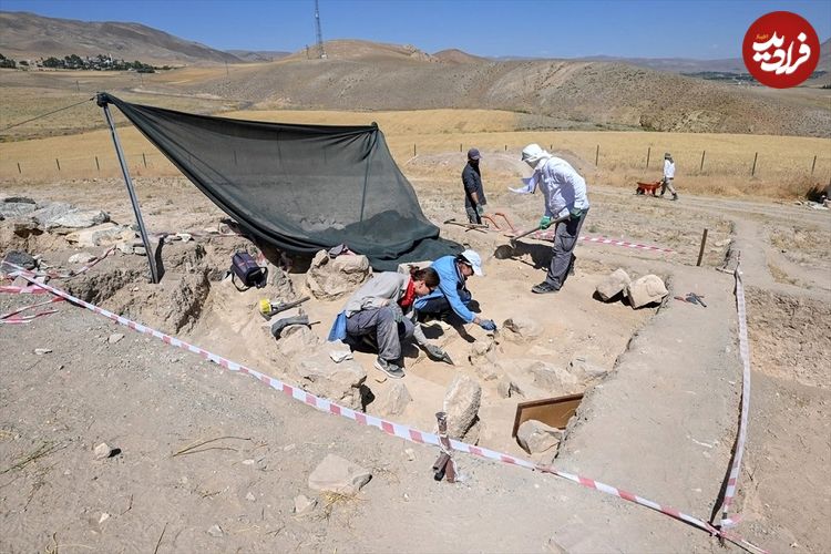 (تصاویر) کشف کم‌نظیر اسکلت ۲۷۰۰ سالۀ «اسب» در ترکیه 
