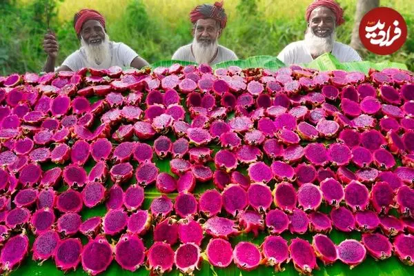 ببینید| غذای روستایی در هند؛ تهیه میلک شیک با 40 کیلو دراگون فروت و پخت خوراک کاری مرغ