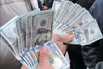 توقف رشد قیمت دلار