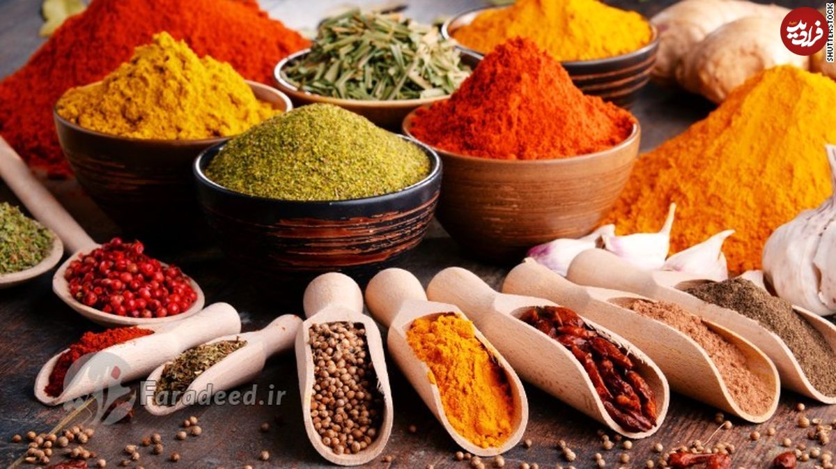 «شبکۀ غذا» چطور «فراموشی» را پیشبینی میکند؟