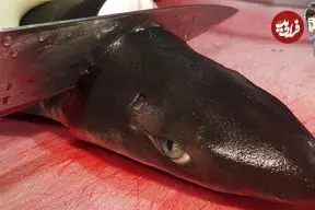 ببینید| غذای خیابانی در کره؛ برش زدن کوسه و تهیه دو نوع غذا با آن در پوهانگ