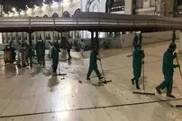 (ویدئو) هجوم جیرجیرک‌های سیاه به مکه