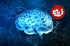 عکس؛ کاهش رتبه ایران در جدیدترین رتبه‌بندی IQ کشورها در سال ۲۰۲۵!